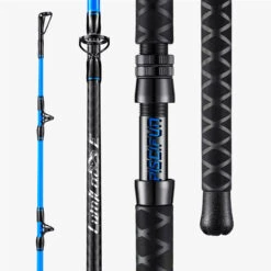 PISCIFUN® Lumicat E Catfish Rods 1 Or 2-Piece Casting Rod Or Spinning Rod