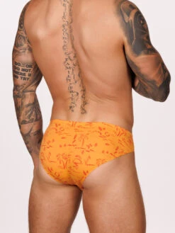 Romeo Shaper Brief 3 Pack -Bodyaware Shop A303 orange back