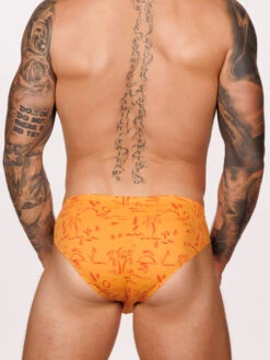 Romeo Shaper Brief 3 Pack -Bodyaware Shop A303 orange back2