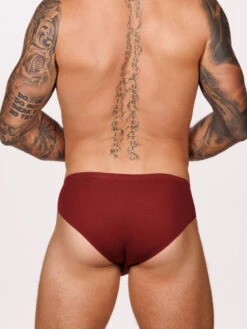 Romeo Shaper Brief 3 Pack -Bodyaware Shop A303 red back