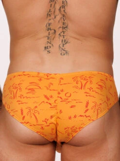 Romeo Brief 3 Pack 20 Romeo Brief 3 Pack -Bodyaware Shop A305 orange back2 eed1100c a929 468a 8eaa 630e333f03c8