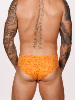 Romeo Brief 3 Pack 19 Romeo Brief 3 Pack -Bodyaware Shop A305 orange back 5b226beb 9bd7 4a9c 9a42 1793a4a319fc