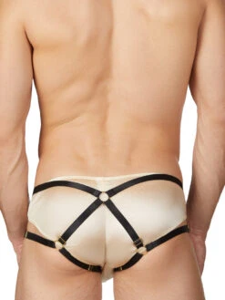 Tackle & Strap Harness -Bodyaware Shop BW black back