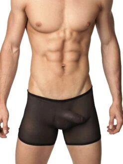 Men's Mesh Boxer