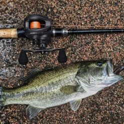 Piscifun® Torrent II Baitcasting Fishing Reel/Casting Reel -Bodyaware Shop Piscifun baitcasting reel Torrent 5