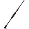 Piscifun® Torrent Casting Rod Two Pieces -Bodyaware Shop RD027 Torrent 1