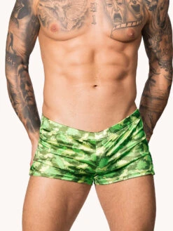 Printed Luxe Satin Shorts 11 Printed Luxe Satin Shorts -Bodyaware Shop S746 dino front