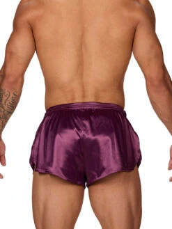 Daydream Tear Away Shorts -Bodyaware Shop T301 plum back f00e68af 4a77 485e 8220 d3a2109a898b