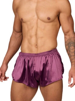 Daydream Tear Away Shorts -Bodyaware Shop T301 plum front 66faa187 28f2 4b0a 87d3 c982a3a6074f