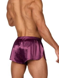 Daydream Tear Away Shorts -Bodyaware Shop T301 plum side cbbb7e9e 6dde 4954 8db2 141c80ed752f