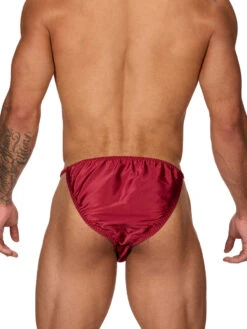 Daydream Tanga -Bodyaware Shop T305 burgundy back
