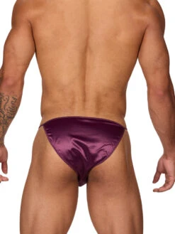 Daydream Hardware Tanga 15 Daydream Hardware Tanga -Bodyaware Shop T308 plum back