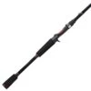 Piscifun® Torrent Casting Rod One Piece Rod Sale