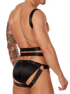 Harness Set -Bodyaware Shop X004 BLACK 3 MIKE BodyAware