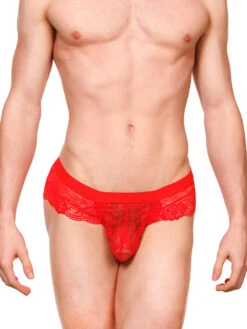 Logan Lace Brief -Bodyaware Shop Z286ValentinaPantyredfront