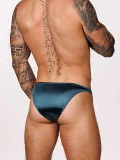 Luxe Satin Bikini Brief -Bodyaware Shop h165 teal side2