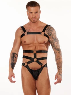 Harness Set