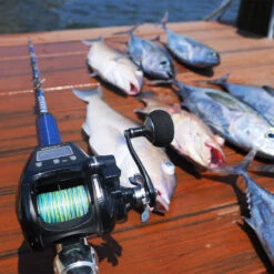 Piscifun® Kraken Electric Big Game Reels Heiko Recommended Fishing Reels -Bodyaware Shop kraken 800 2